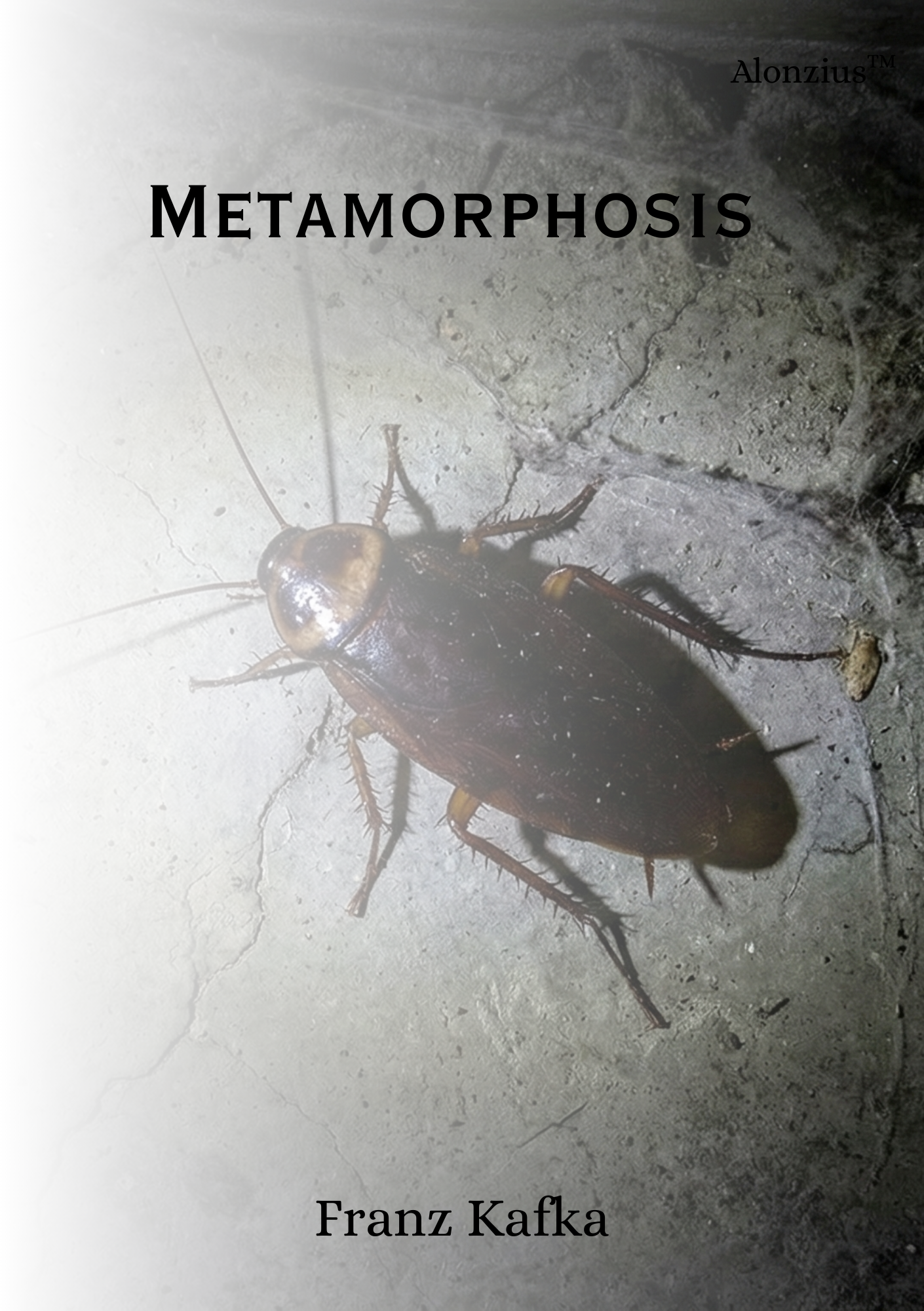 Book Cover: Metamorphosis